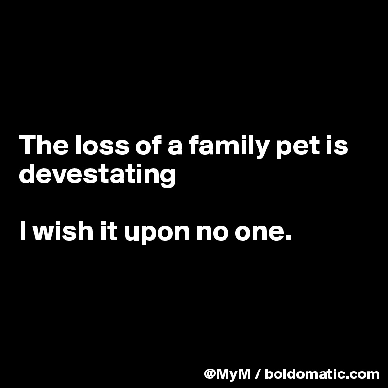 



The loss of a family pet is devestating

I wish it upon no one.




