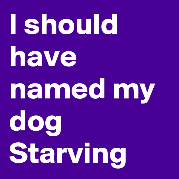 I should have named my dog Starving
