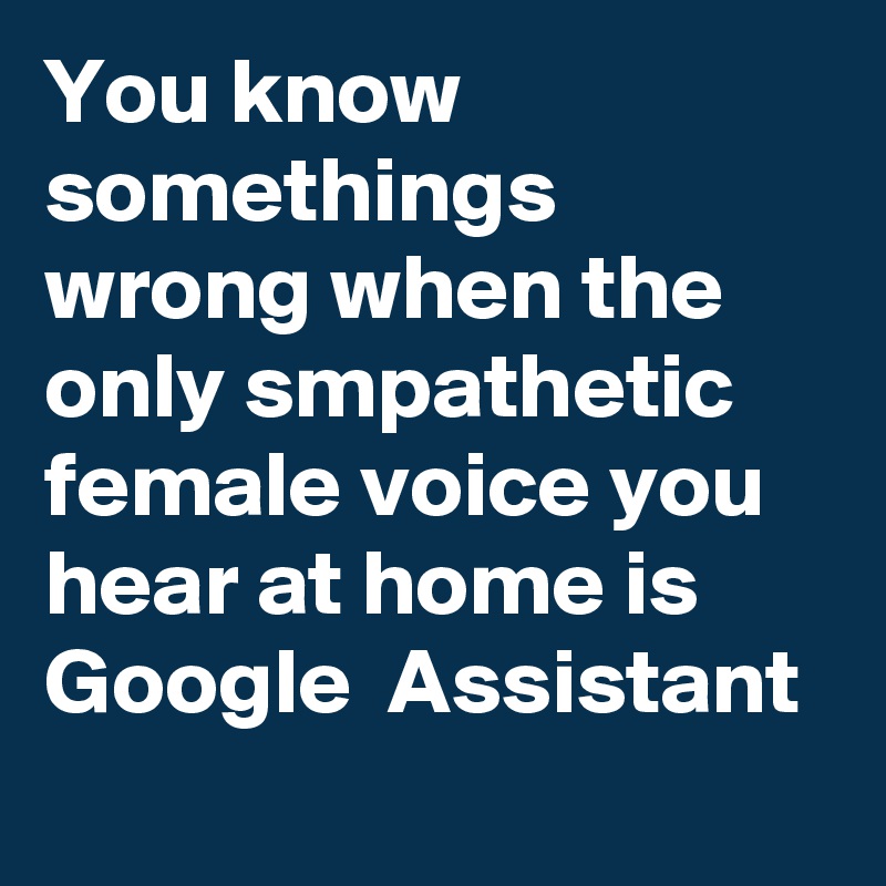 You know somethings wrong when the only smpathetic female voice you hear at home is Google  Assistant 