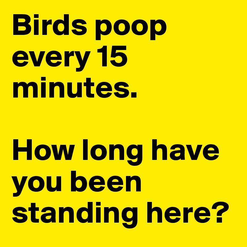Birds poop every 15 minutes.

How long have you been standing here?