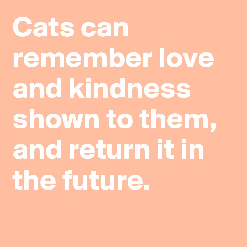 Cats can remember love and kindness shown to them, and return it in the future.