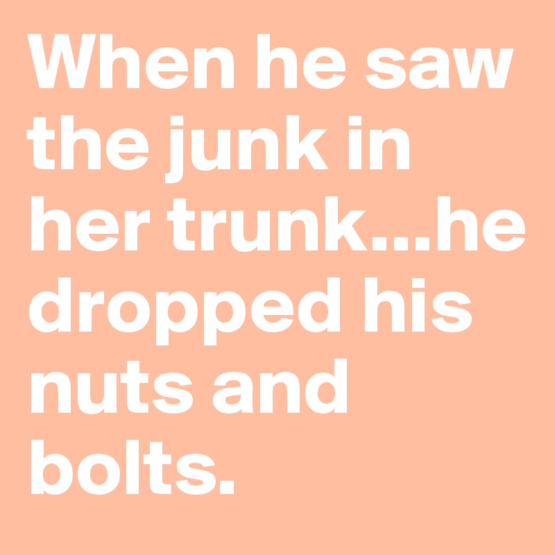 When he saw the junk in her trunk...he dropped his nuts and bolts.