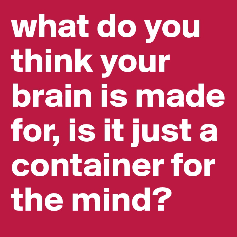 what do you think your brain is made for, is it just a container for the mind?