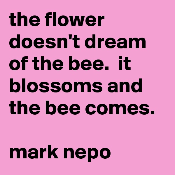the flower doesn't dream of the bee.  it blossoms and the bee comes. 

mark nepo