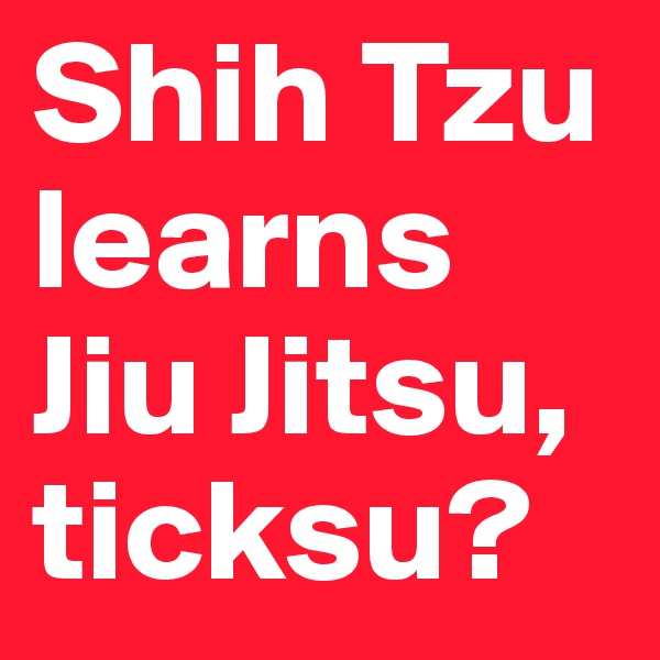 Shih Tzu learns Jiu Jitsu, ticksu?