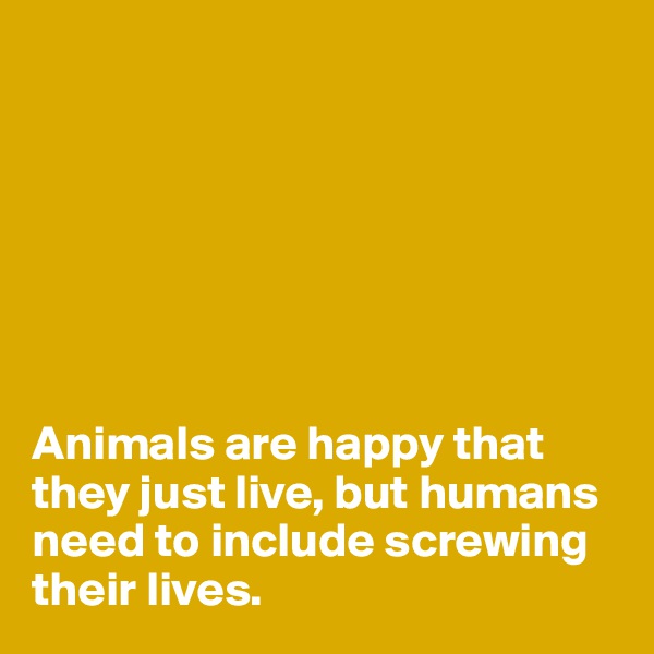 







Animals are happy that they just live, but humans need to include screwing their lives. 