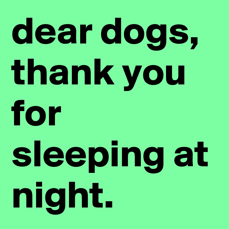 dear dogs, thank you for sleeping at night.