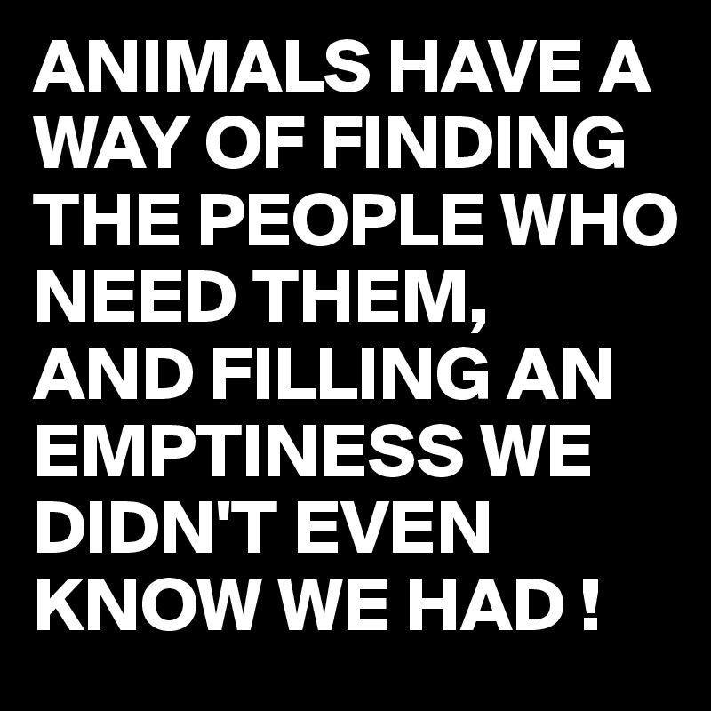 ANIMALS HAVE A WAY OF FINDING THE PEOPLE WHO NEED THEM,
AND FILLING AN EMPTINESS WE DIDN'T EVEN KNOW WE HAD !
