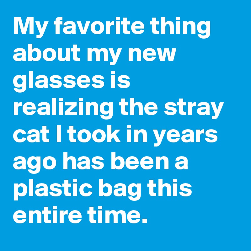 My favorite thing about my new glasses is realizing the stray cat I took in years ago has been a plastic bag this entire time.