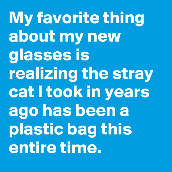 My favorite thing about my new glasses is realizing the stray cat I took in years ago has been a plastic bag this entire time.