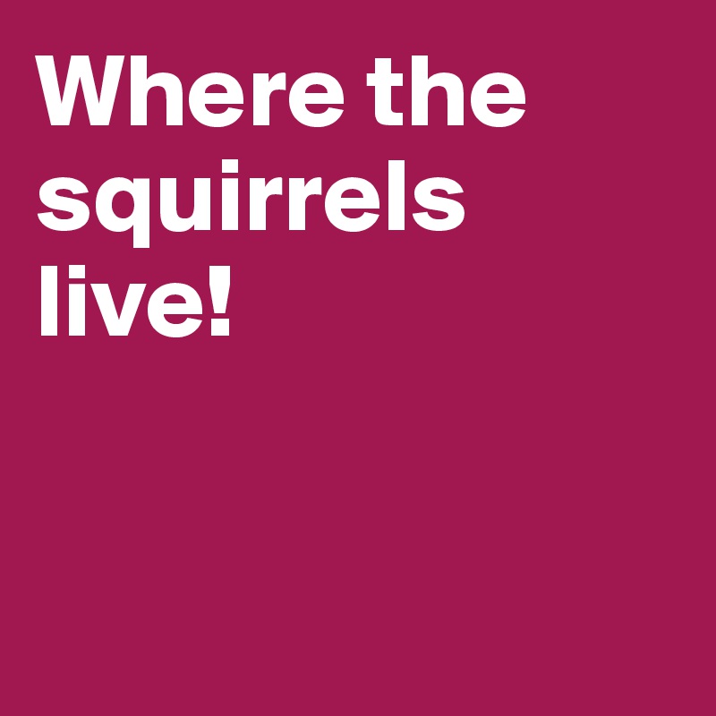 Where the squirrels live! 


