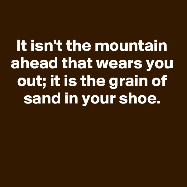 
It isn't the mountain ahead that wears you out; it is the grain of sand in your shoe.



