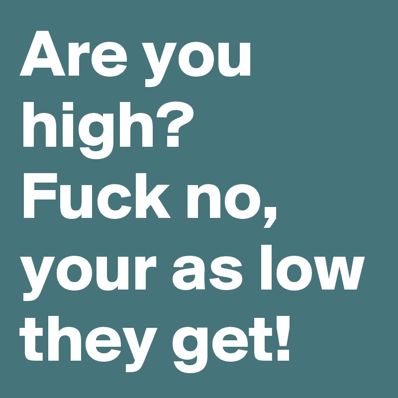 Are you high?
Fuck no,
your as low they get!