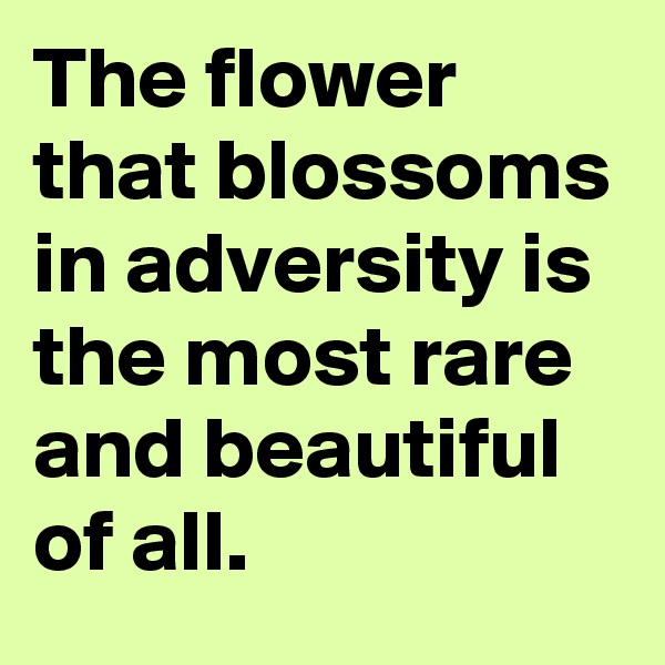 The flower that blossoms in adversity is the most rare and beautiful of all.