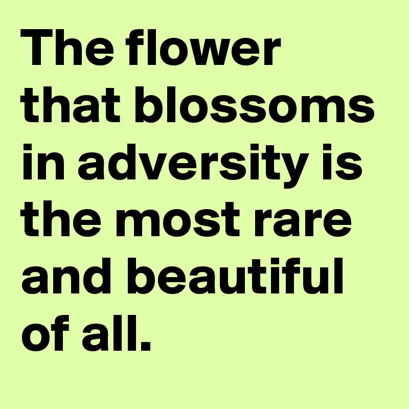 The flower that blossoms in adversity is the most rare and beautiful of all.
