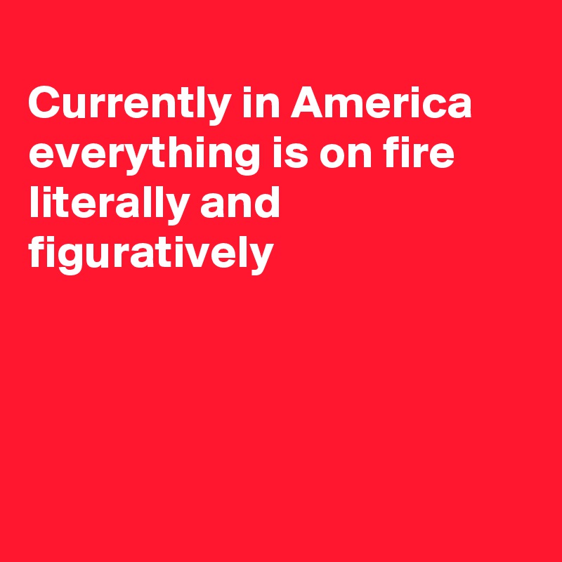 
Currently in America
everything is on fire 
literally and figuratively 




