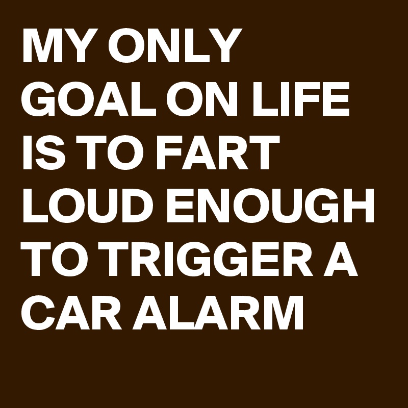 MY ONLY GOAL ON LIFE 
IS TO FART LOUD ENOUGH TO TRIGGER A CAR ALARM