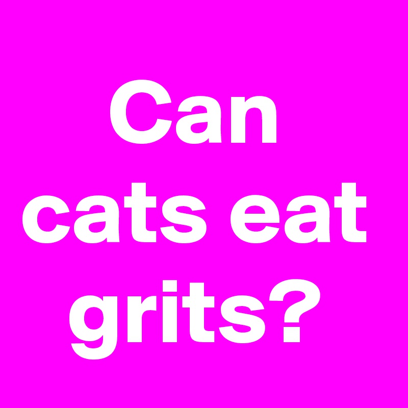 can-cats-eat-grits-post-by-mdriaz23-on-boldomatic