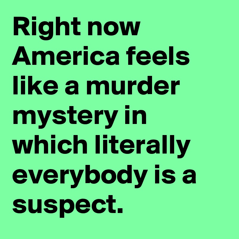 Right now America feels like a murder mystery in which literally everybody is a suspect.
