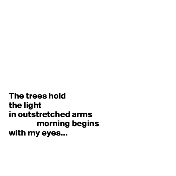 








The trees hold 
the light
in outstretched arms
                morning begins
with my eyes...


