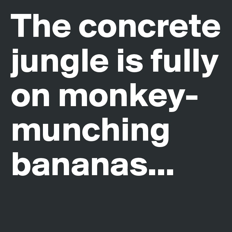 The concrete jungle is fully on monkey-munching bananas...