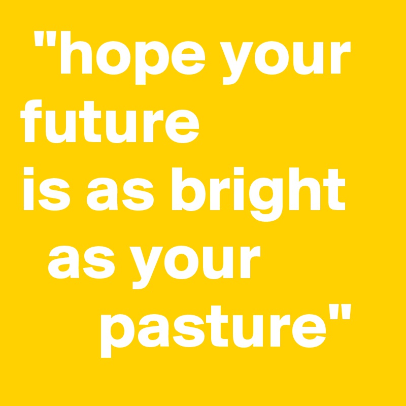  "hope your future
is as bright     as your               pasture"