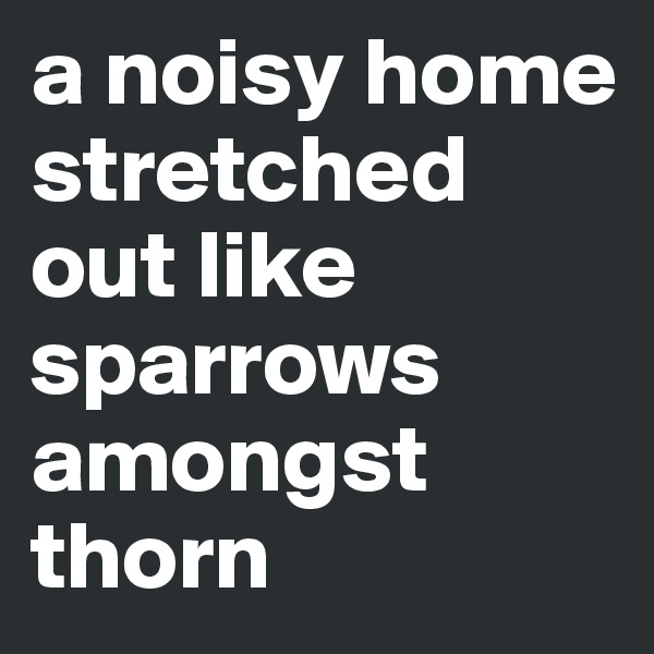 a noisy home stretched out like sparrows amongst thorn