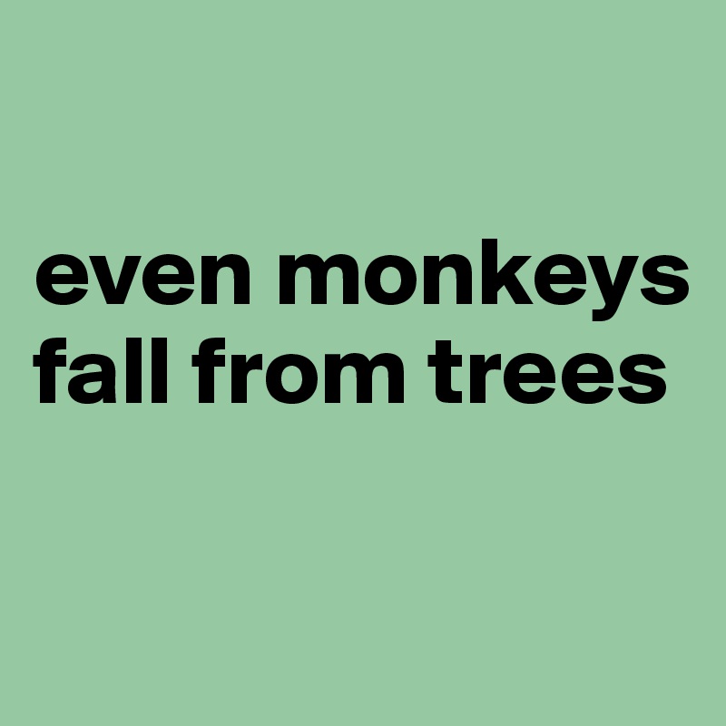 

even monkeys fall from trees

