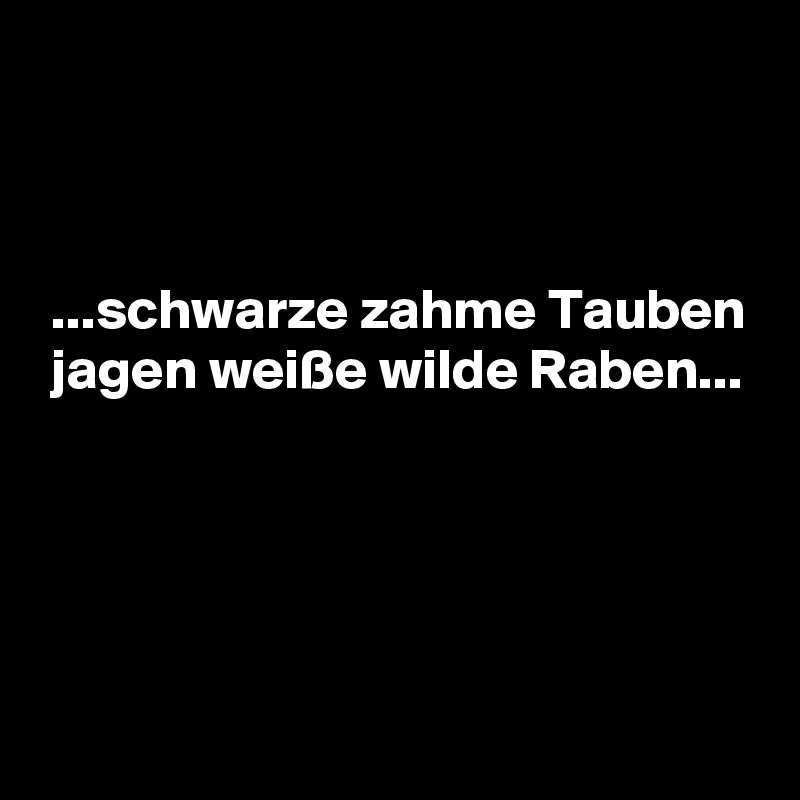 



 ...schwarze zahme Tauben
 jagen weiße wilde Raben...




