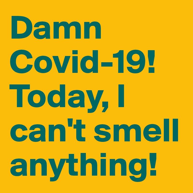 damn-covid-19-today-i-can-t-smell-anything-post-by-trek-on-boldomatic