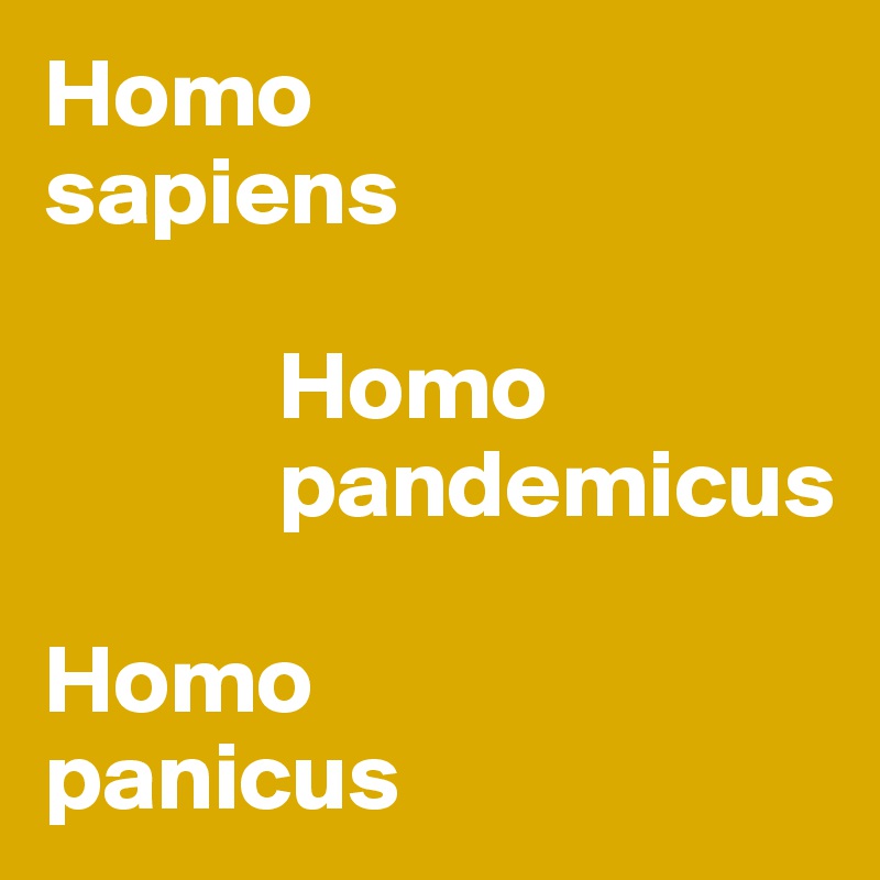 Homo 
sapiens

            Homo 
            pandemicus

Homo 
panicus