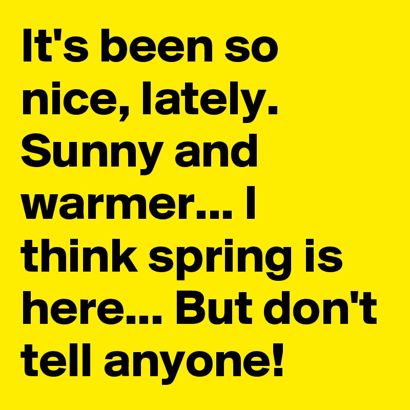It's been so nice, lately. Sunny and warmer... I think spring is here... But don't tell anyone!