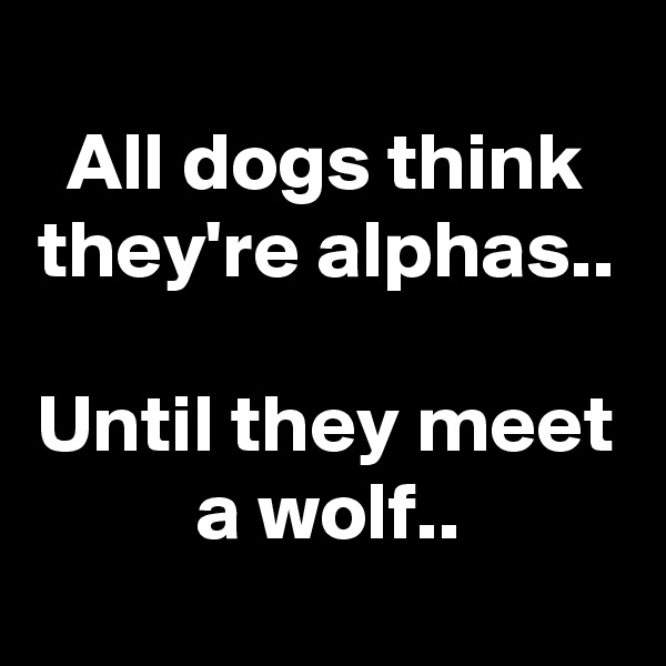 
All dogs think they're alphas..

Until they meet a wolf..