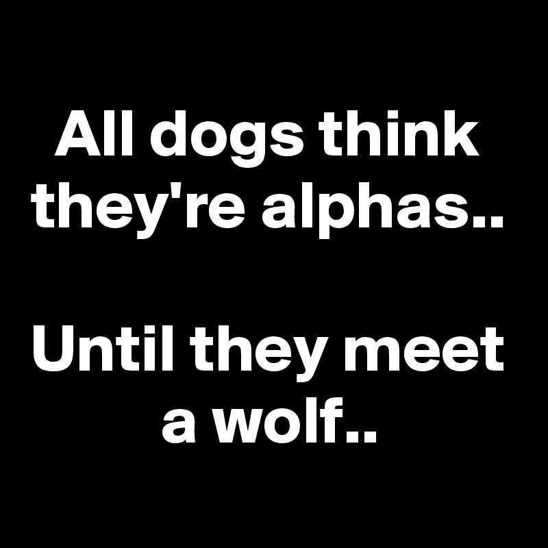 
All dogs think they're alphas..

Until they meet a wolf..