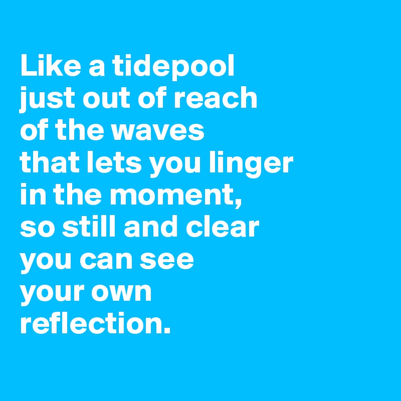 
Like a tidepool
just out of reach
of the waves
that lets you linger
in the moment,
so still and clear
you can see
your own
reflection.
