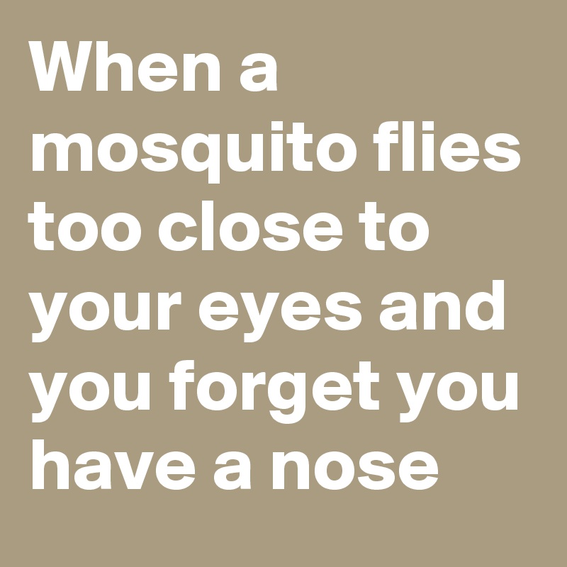 when-a-mosquito-flies-too-close-to-your-eyes-and-you-forget-you-have-a