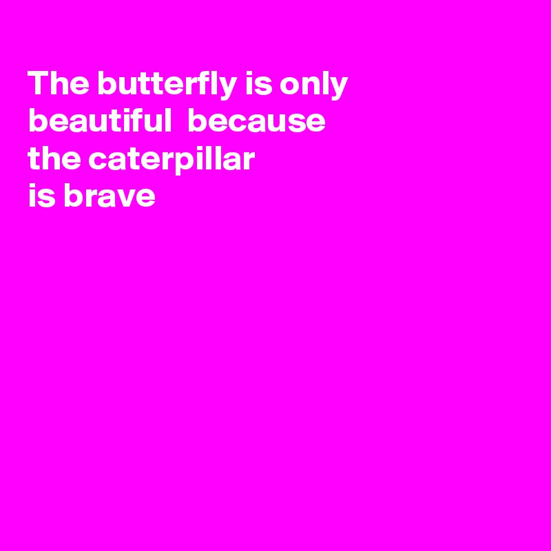 
The butterfly is only
beautiful  because
the caterpillar
is brave







