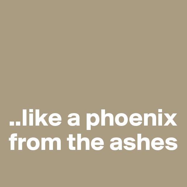 



..like a phoenix from the ashes
