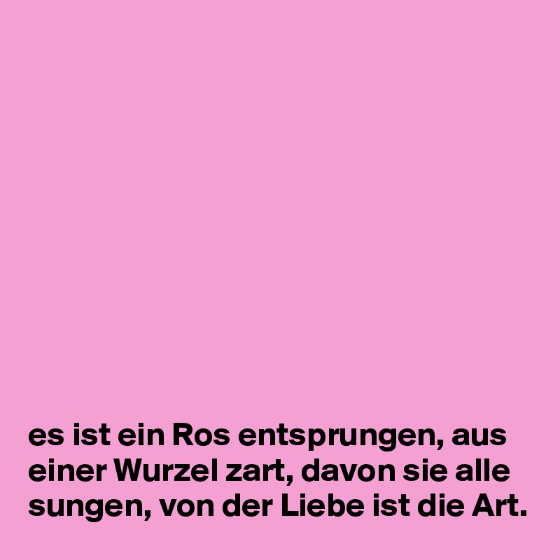 










es ist ein Ros entsprungen, aus einer Wurzel zart, davon sie alle sungen, von der Liebe ist die Art.