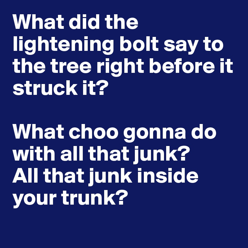 What did the lightening bolt say to the tree right before it struck it? 

What choo gonna do with all that junk? 
All that junk inside your trunk? 
