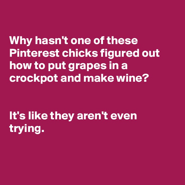 

Why hasn't one of these Pinterest chicks figured out how to put grapes in a crockpot and make wine?


It's like they aren't even trying.


