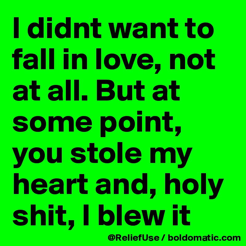 I didnt want to fall in love, not at all. But at some point, you stole my heart and, holy shit, I blew it