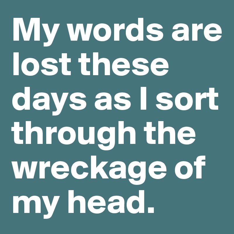 My words are lost these days as I sort through the wreckage of my head. 