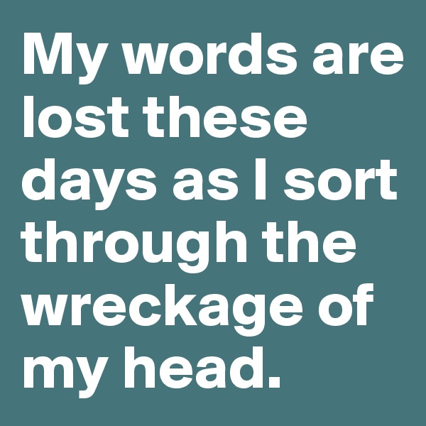 My words are lost these days as I sort through the wreckage of my head. 