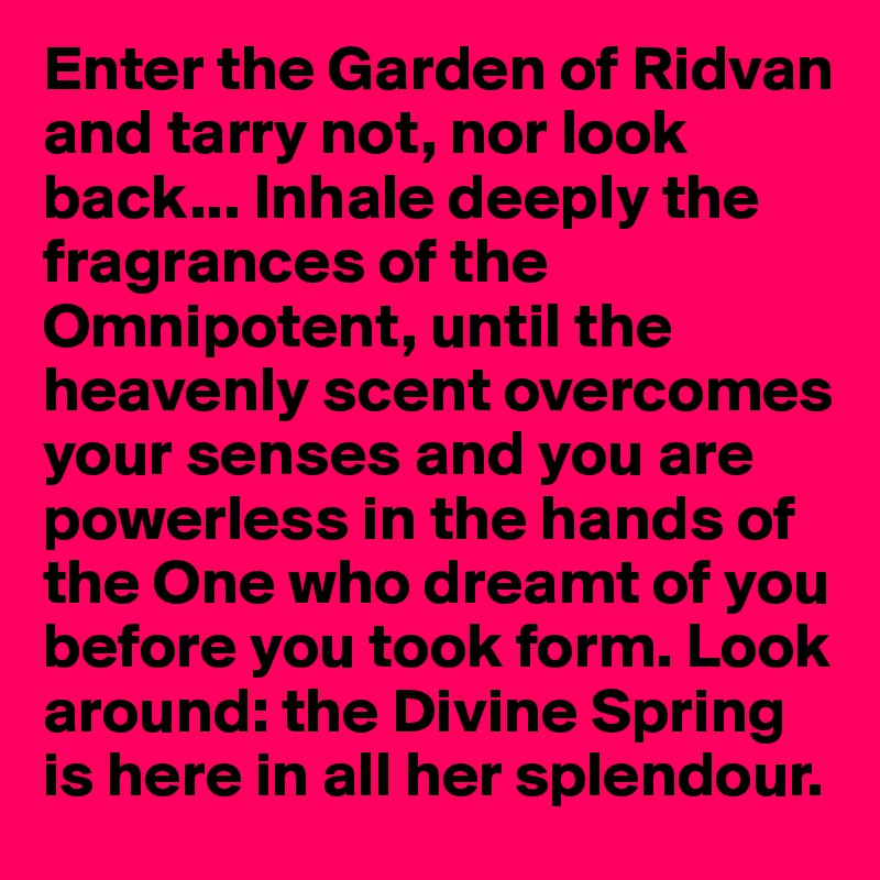 Enter the Garden of Ridvan and tarry not, nor look back... Inhale deeply the fragrances of the Omnipotent, until the heavenly scent overcomes your senses and you are powerless in the hands of the One who dreamt of you before you took form. Look around: the Divine Spring is here in all her splendour.