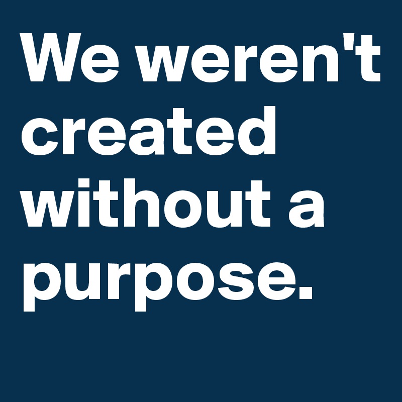 We weren't created without a purpose.