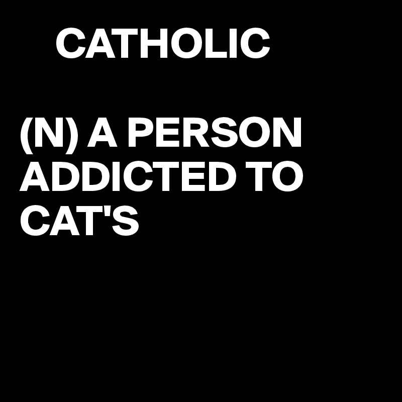     CATHOLIC

(N) A PERSON ADDICTED TO CAT'S


