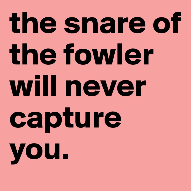 the snare of the fowler will never capture you.