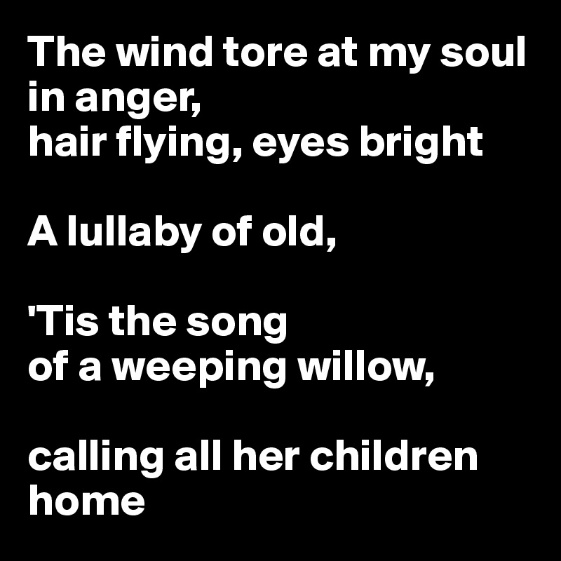 The wind tore at my soul 
in anger, 
hair flying, eyes bright

A lullaby of old,

'Tis the song 
of a weeping willow, 

calling all her children 
home