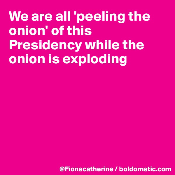 We are all 'peeling the onion' of this Presidency while the 
onion is exploding






